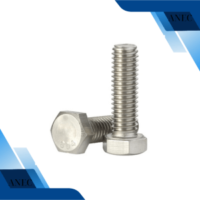 bulong inox 304