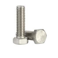 bulong inox 304